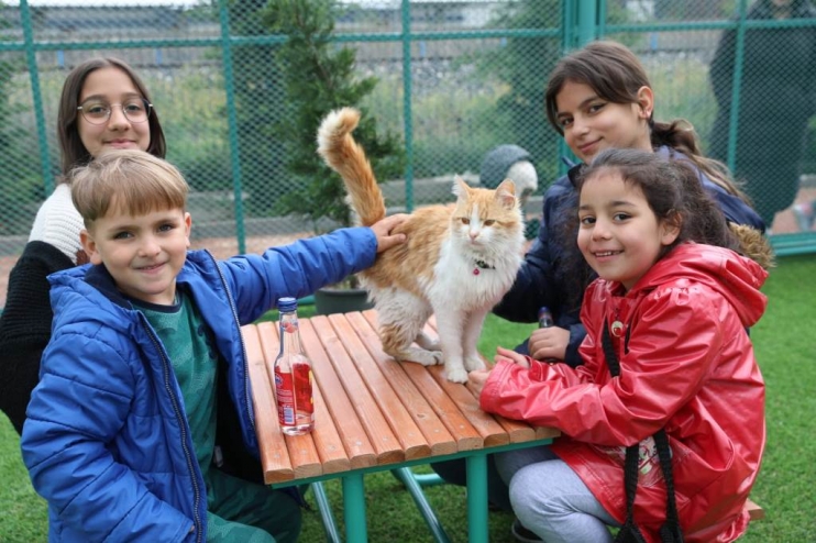 KAYSERİ’DE İLK OLAN ‘KÜÇÜK DOSTLAR KEDİ KASABASI’ ULUSLARARASI AJANSLARDA DA GÜNDEM OLUŞTURDU