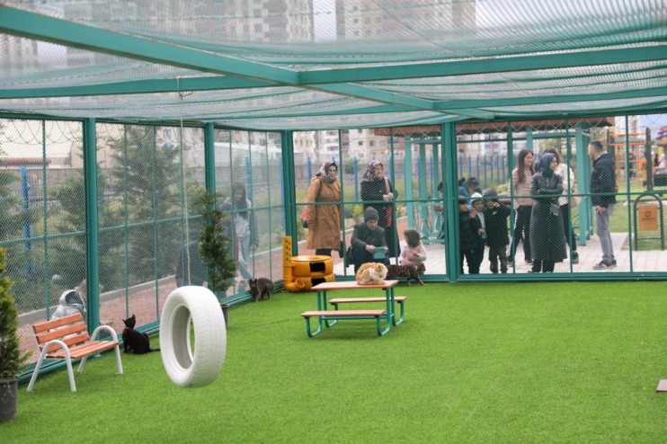 KAYSERİ’DE İLK OLAN ‘KÜÇÜK DOSTLAR KEDİ KASABASI’ ULUSLARARASI AJANSLARDA DA GÜNDEM OLUŞTURDU