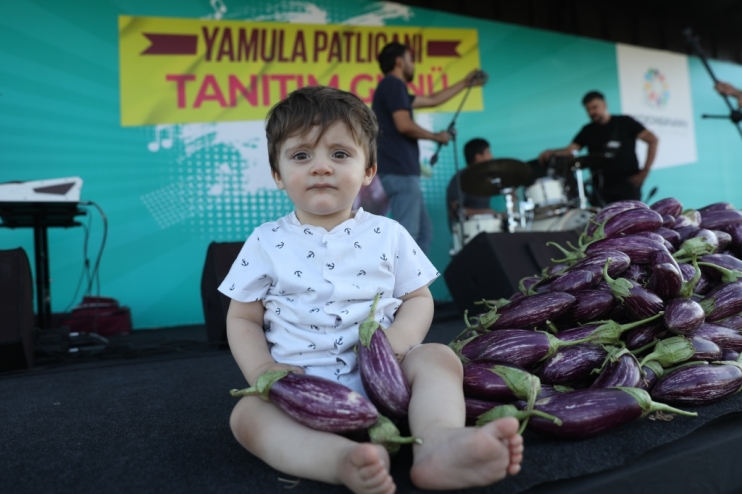 KOCASİNAN’DA YAMULA PATLICANI FESTİVALİNE 10 BİNLERCE KİŞİ KATILDI