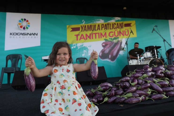 KOCASİNAN’DA YAMULA PATLICANI FESTİVALİNE 10 BİNLERCE KİŞİ KATILDI