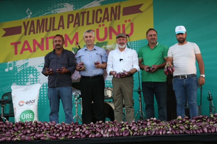 KOCASİNAN’DA YAMULA PATLICANI FESTİVALİNE 10 BİNLERCE KİŞİ KATILDI