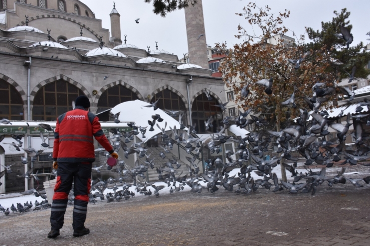 KOCASİNAN’DAN KIŞ MEVSİMİ BOYUNCA SOKAK VE YABAN HAYVANLARI İÇİN 18 TON YEM