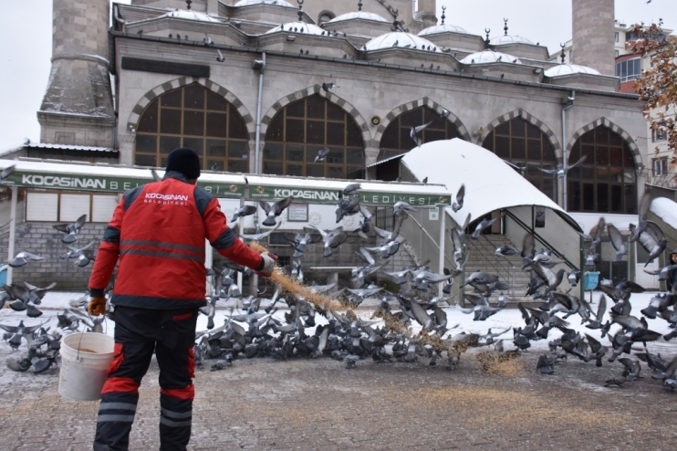 KOCASİNAN’DAN KIŞ MEVSİMİ BOYUNCA SOKAK VE YABAN HAYVANLARI İÇİN 18 TON YEM