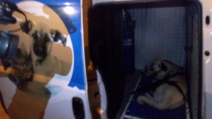 BAŞKAN ÇOLAKBAYRAKDAR, “KÜÇÜK DOSTLAR AMBULANSI 7 BİN 643 CAN KURTARDI”