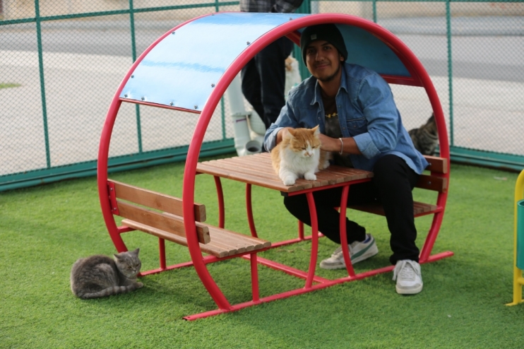KAYSERİ’DE İLK OLAN ‘KÜÇÜK DOSTLAR KEDİ KASABASI’NA YOĞUN İLGİ