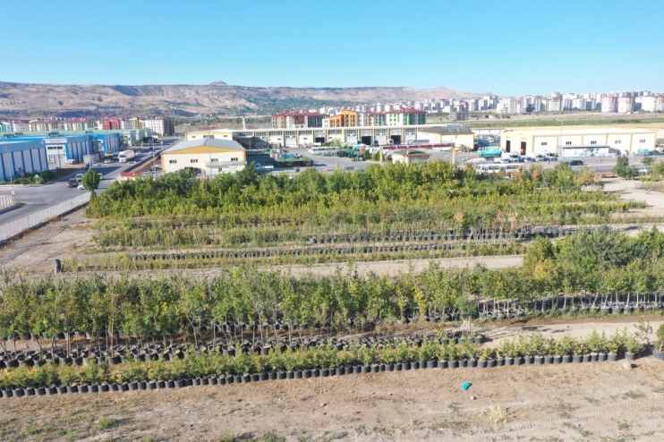 TÜRKİYE’NİN EN BÜYÜK ÜRETİM VE LOJİSTİK ÜSSÜ FİDANLIĞI KOCASİNAN’DA