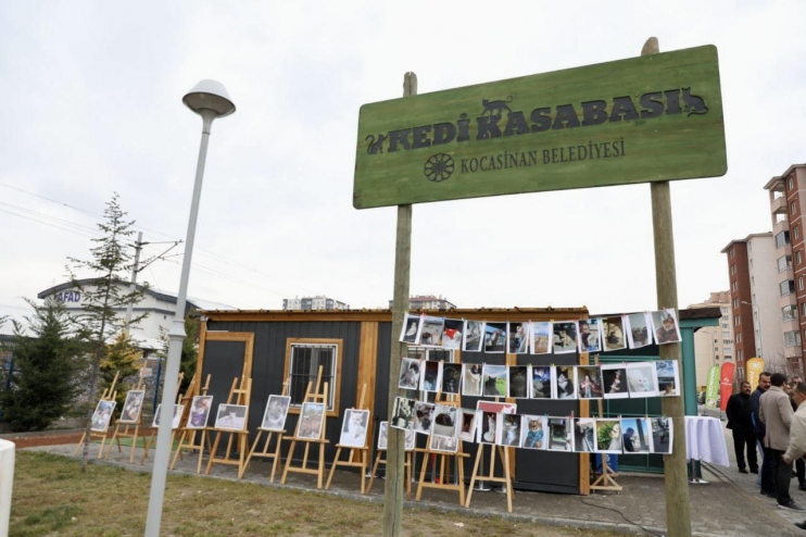 KOCASİNAN’DA KEDİ TEMALI FOTOĞRAF YARIŞMASI’NDA KAZANANLAR ÖDÜLLERİNİ ALDI