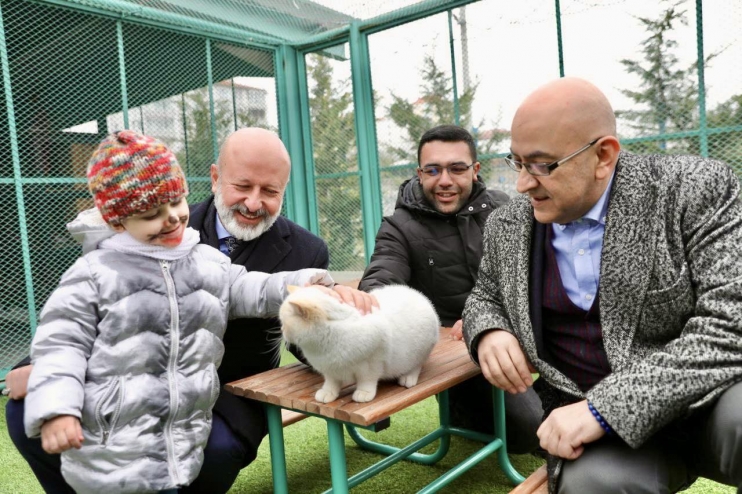 KOCASİNAN’DA KEDİ TEMALI FOTOĞRAF YARIŞMASI’NDA KAZANANLAR ÖDÜLLERİNİ ALDI
