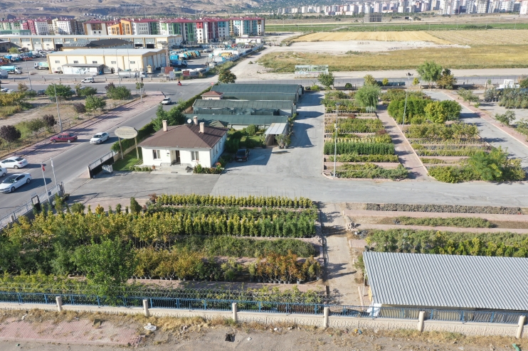BAŞKAN ÇOLAKBAYRAKDAR, “KİŞİ BAŞINA DÜŞEN 18 METREKARE YEŞİL ALAN İLE REKORU YENİLEYECEĞİZ”