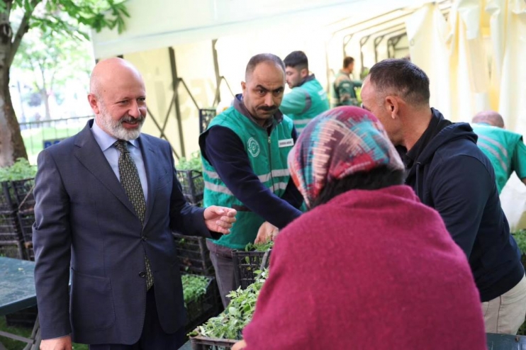 KOCASİNAN’IN ORGANİK DOMATES FİDESİNE VATANDAŞLARDAN YOĞUN İLGİ
