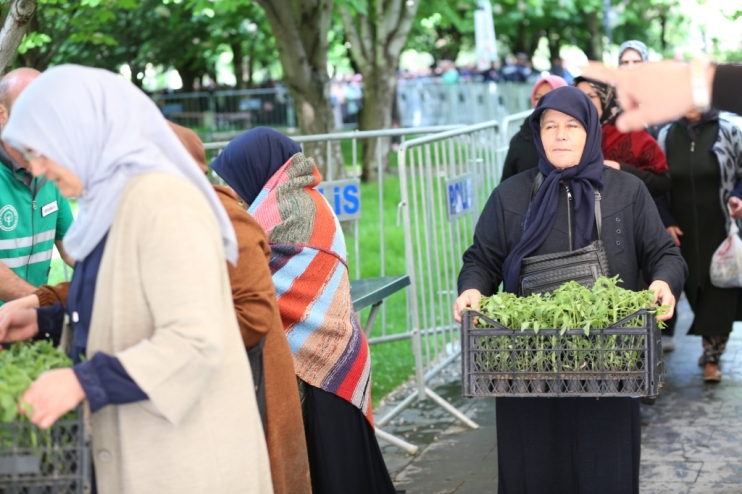 KOCASİNAN’IN ORGANİK DOMATES FİDESİNE VATANDAŞLARDAN YOĞUN İLGİ