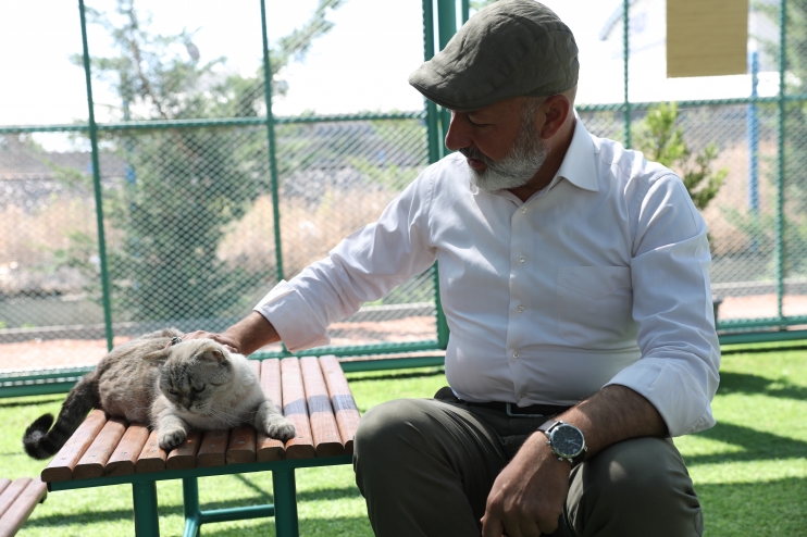 KAYSERİ’DE İLK OLAN KÜÇÜK DOSTLAR KEDİ KASABASI, BİR YILDA REKOR ZİYARET