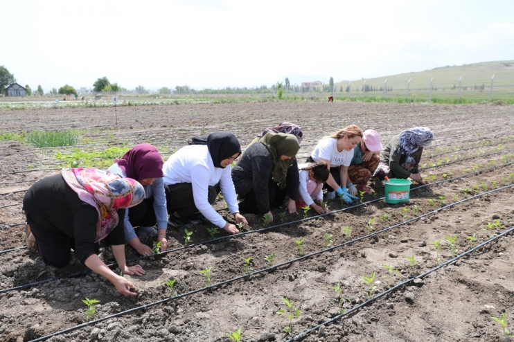 BAŞKAN ÇOLAKBAYRAKDAR, “KOCASİNAN, ŞEHRİN MERKEZİNDE TARIMSAL ÜRETİMLE TÜRKİYE’YE MODEL OLDUK”