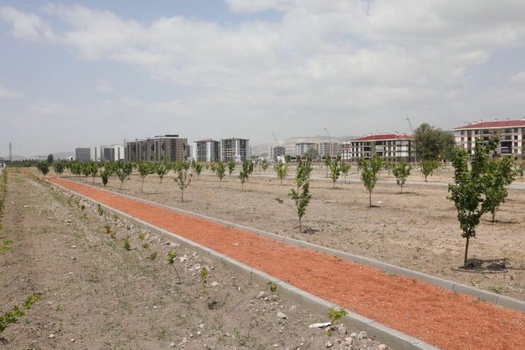 BAŞKAN ÇOLAKBAYRAKDAR, “KAYSERİ’NİN İLK MEYVE BAHÇELİ PARKI İLE ÇOCUKLAR DALINDAN MEYVE YEME İMKANI BULACAK”
