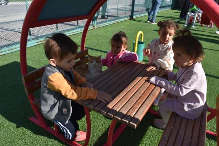 KAYSERİ’DE İLK OLAN ‘KÜÇÜK DOSTLAR KEDİ KASABASI’ ZİYARETÇİ AKININA UĞRUYOR
