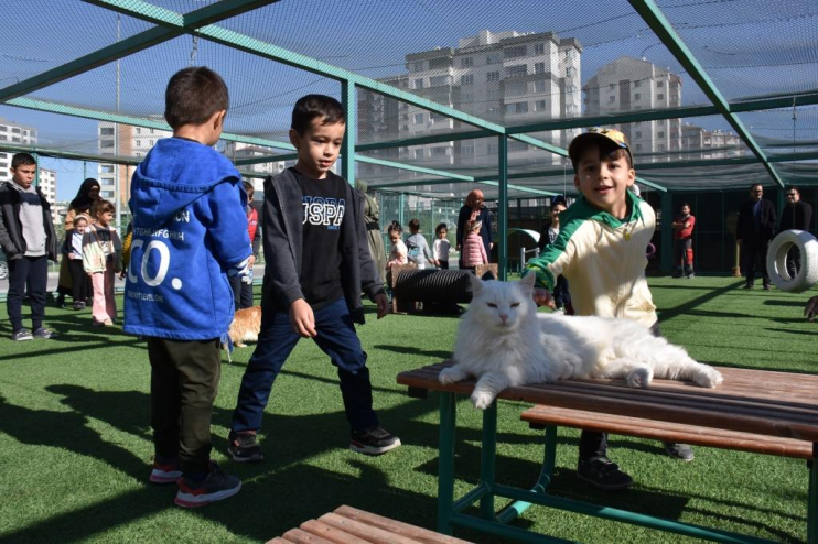 KAYSERİ’DE İLK OLAN ‘KÜÇÜK DOSTLAR KEDİ KASABASI’ ZİYARETÇİ AKININA UĞRUYOR