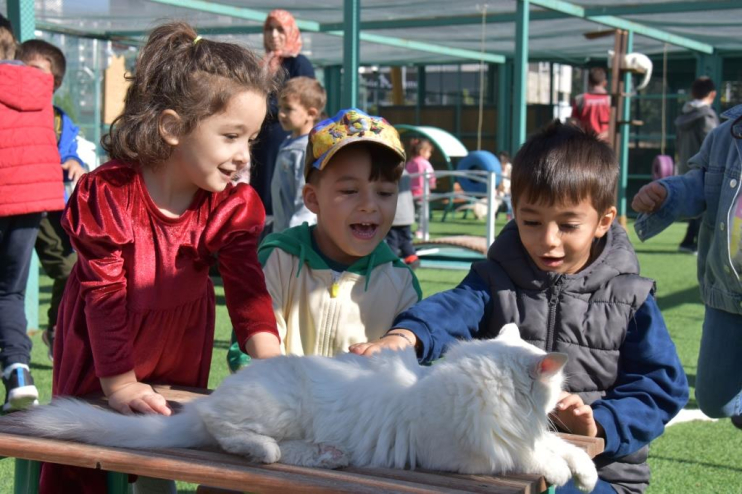 KAYSERİ’DE İLK OLAN ‘KÜÇÜK DOSTLAR KEDİ KASABASI’ ZİYARETÇİ AKININA UĞRUYOR