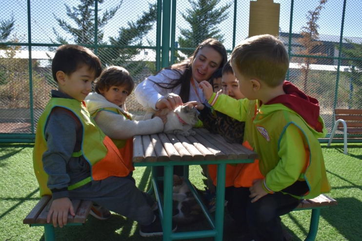 KAYSERİ’DE İLK OLAN ‘KÜÇÜK DOSTLAR KEDİ KASABASI’ ZİYARETÇİ AKININA UĞRUYOR