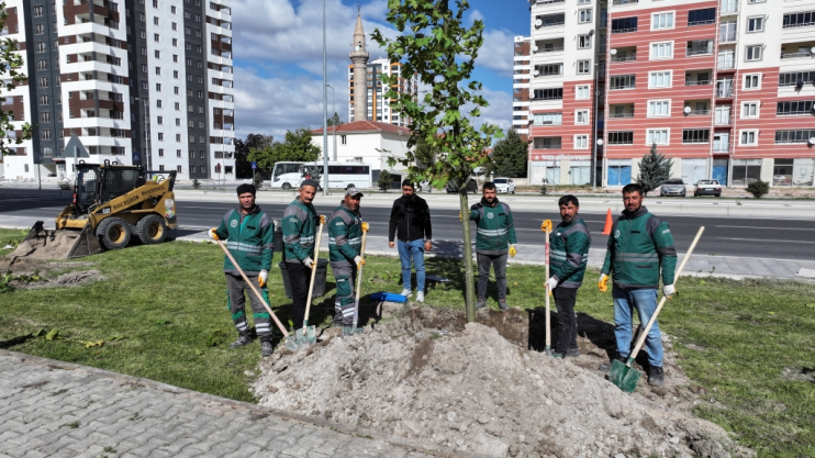 BAŞKAN ÇOLAKBAYRAKDAR, “GELECEK İÇİN YAPILACAK EN ÖNEMLİ YATIRIM AĞAÇ DİKMEKTİR”
