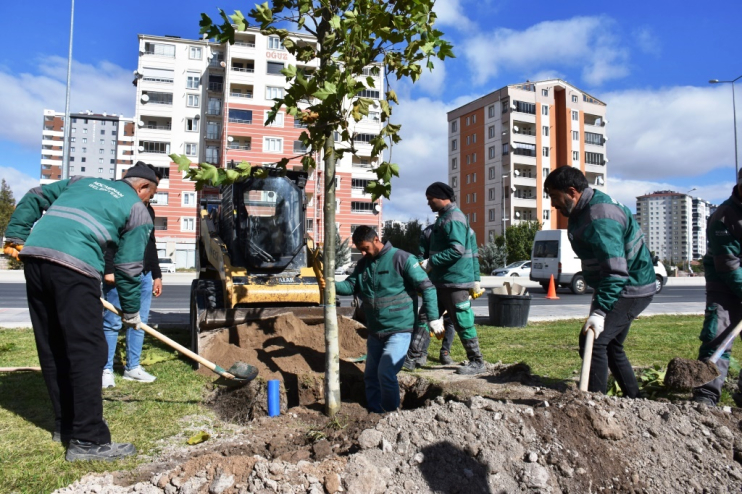 BAŞKAN ÇOLAKBAYRAKDAR, “GELECEK İÇİN YAPILACAK EN ÖNEMLİ YATIRIM AĞAÇ DİKMEKTİR”