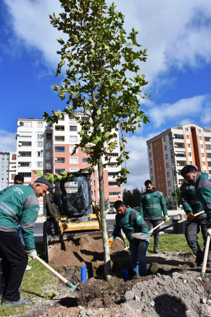 BAŞKAN ÇOLAKBAYRAKDAR, “GELECEK İÇİN YAPILACAK EN ÖNEMLİ YATIRIM AĞAÇ DİKMEKTİR”