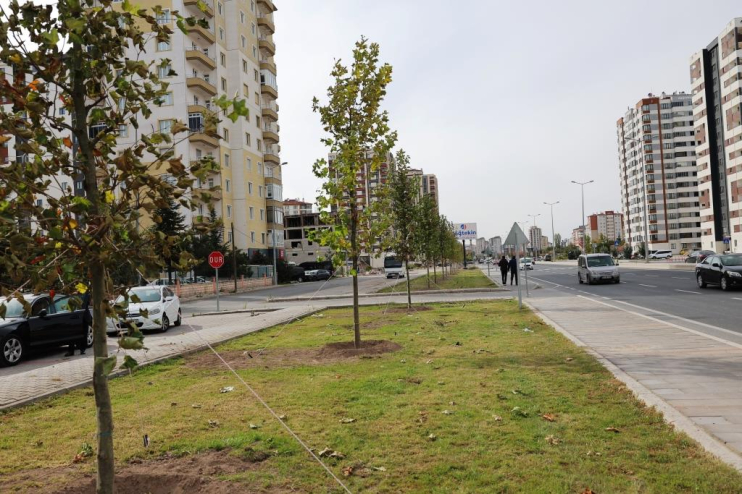 BAŞKAN ÇOLAKBAYRAKDAR, “BAHAR AYINDA, YEMYEŞİL BİR KAYSERİ İLE UYANACAĞIZ”