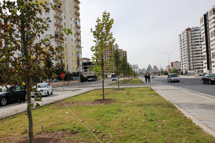 KOCASİNAN, 10 YILDA 965 BİN AĞAÇ DİKEREK, GELECEĞE NEFES ŞEHRE OKSİJEN KAYNAĞI OLDU