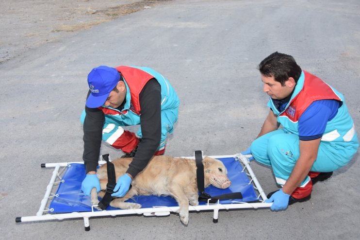 TÜRKİYE’DE İLK OLAN KÜÇÜK DOSTLAR AMBULANSI İLE 8 BİN 753 CAN KURTARILDI