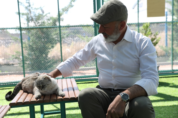 KAYSERİ’DE İLK OLAN KÜÇÜK DOSTLAR KEDİ KASABASI’NA REKOR ZİYARET