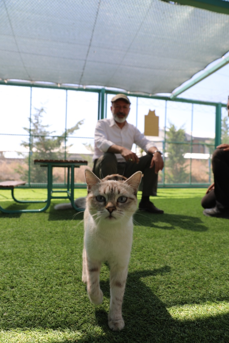 KAYSERİ’DE İLK OLAN KÜÇÜK DOSTLAR KEDİ KASABASI’NA REKOR ZİYARET