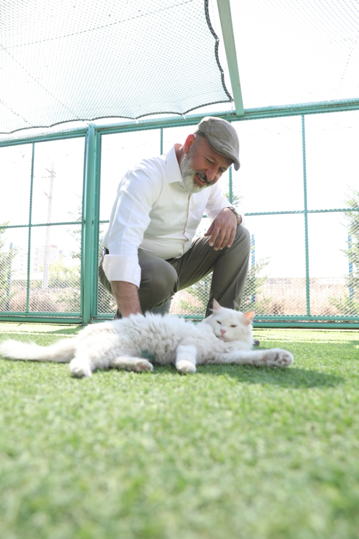 KAYSERİ’DE İLK OLAN KÜÇÜK DOSTLAR KEDİ KASABASI’NA REKOR ZİYARET