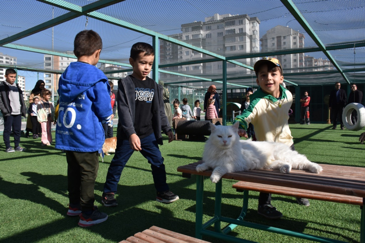 KAYSERİ’DE İLK OLAN KÜÇÜK DOSTLAR KEDİ KASABASI’NA REKOR ZİYARET
