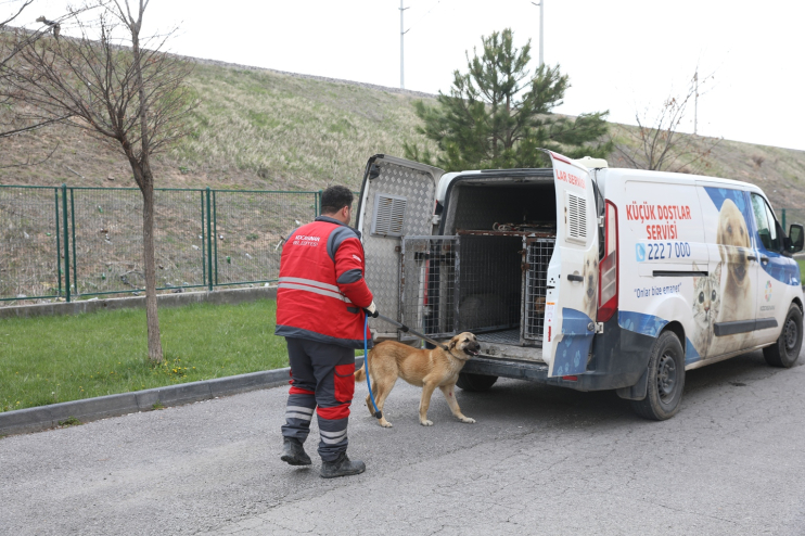 KOCASİNAN BELEDİYESİ’NDEN VETERİNERLİK PERSONELİNESERTİFİKALI EĞİTİM
