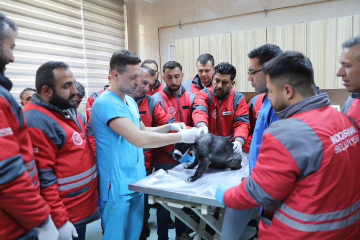 KOCASİNAN BELEDİYESİ’NDEN VETERİNERLİK PERSONELİNESERTİFİKALI EĞİTİM