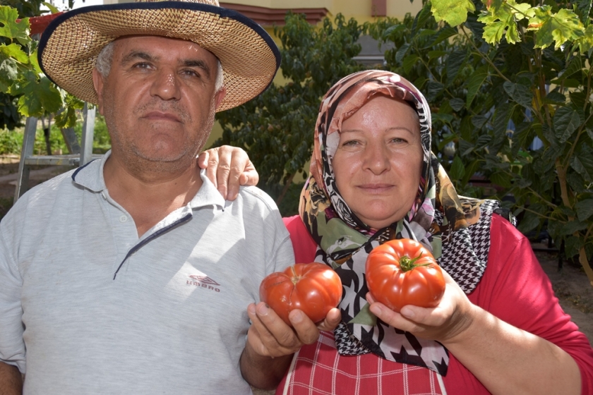 KOCASİNAN BELEDİYESİ’NİN DAĞITTIĞI FİDELER ÜRÜN VERDİ