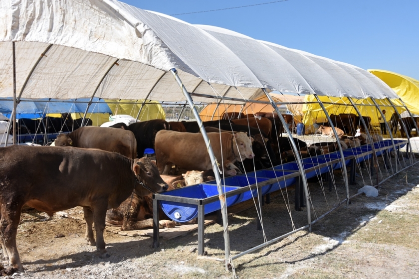 KOCASİNAN BELEDİYESİ KURBAN BAYRAMINA PROFESYONELCE HAZIRLANDI