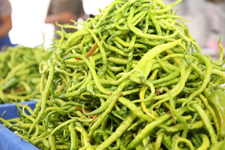 BAŞKAN ÇOLAKBAYRAKDAR: “ORGANİK TARIMI SEVDİRDİK, KAYSERİ’MİZE YENİ BİR VİZYON KAZANDIRDIK”