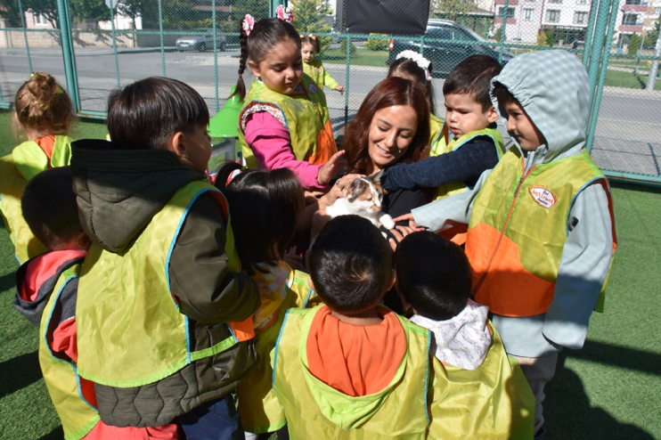 KAYSERİ’DE İLK VE TEK KÜÇÜK DOSTLAR KEDİ KASABASI, ZİYARETÇİ REKORU KIRIYOR