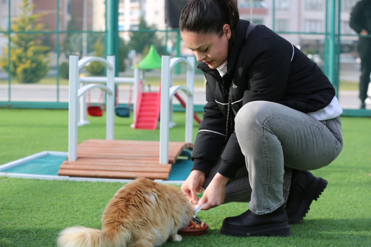 KAYSERİ’DE İLK VE TEK KÜÇÜK DOSTLAR KEDİ KASABASI, ZİYARETÇİ REKORU KIRIYOR