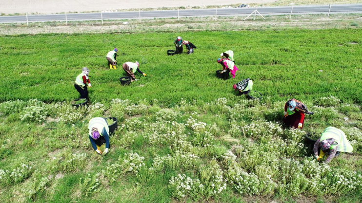 KOCASİNAN BELEDİYESİ’NDEN KADINLARA YÖNELİK ANLAMLI PROJELER