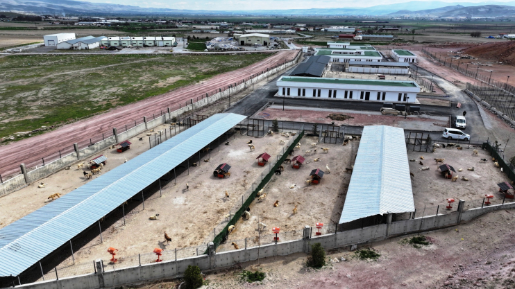 BAŞKAN ÇOLAKBAYRAKDAR, “KAYSERİ’MİZ, TÜRKİYE’YE MODEL OLACAK MODERN HAYVAN BAKIMEVİ İLE ÖNCÜ BİR ŞEHİR OLUYOR”