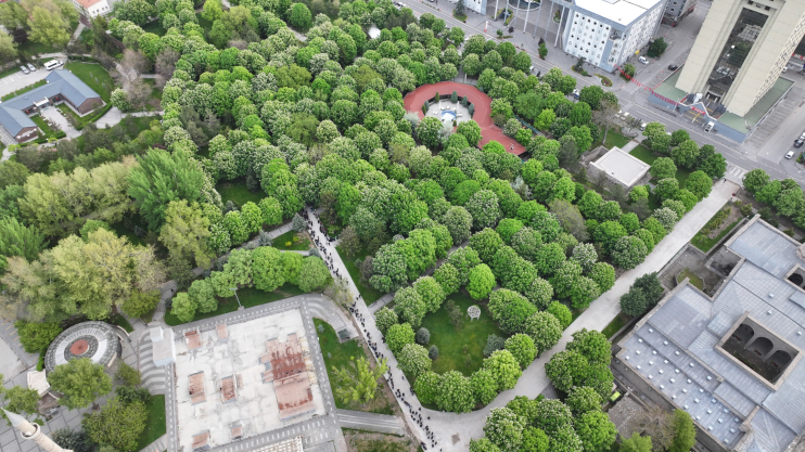 KOCASİNAN’IN DOMATES EFSANESİ, BU YIL DA BÜYÜK YANKI UYANDIRDI