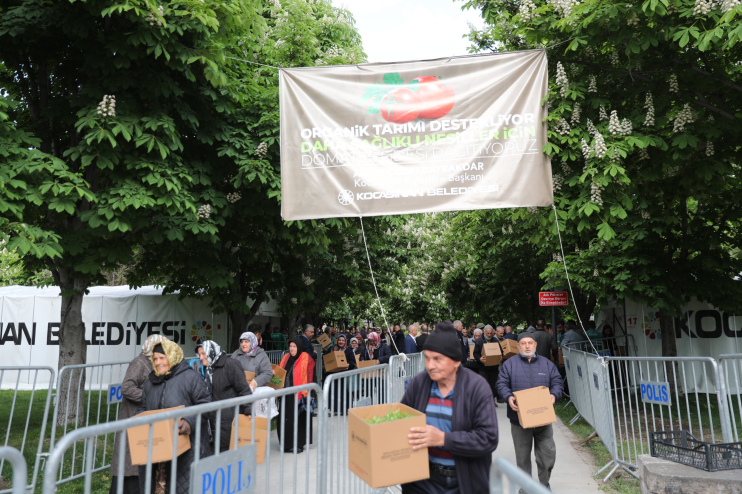 KOCASİNAN’IN DOMATES EFSANESİ, BU YIL DA BÜYÜK YANKI UYANDIRDI