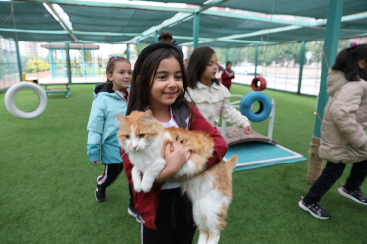 KAYSERİ’DE İLK OLAN ‘KÜÇÜK DOSTLAR KEDİ KASABASI’ ZİYARETÇİ AKININA UĞRUYOR
