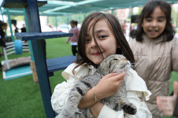 KAYSERİ’DE İLK OLAN ‘KÜÇÜK DOSTLAR KEDİ KASABASI’ ZİYARETÇİ AKININA UĞRUYOR