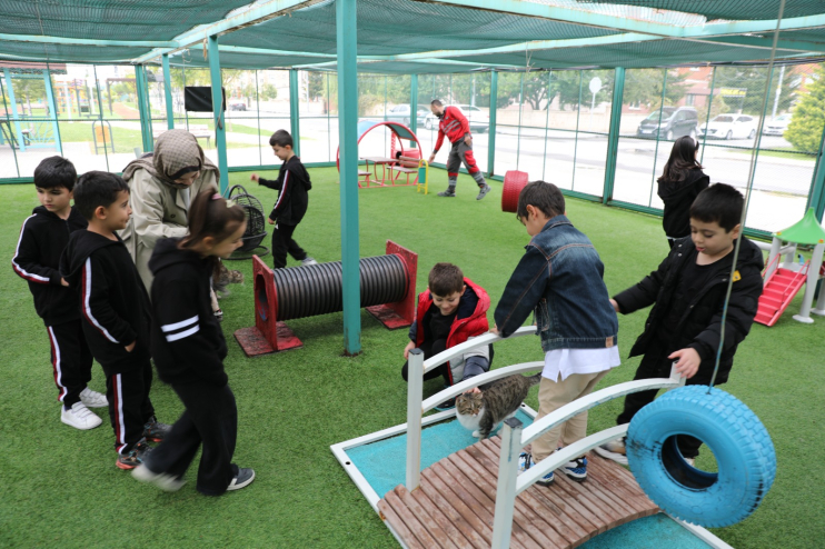 KAYSERİ’DE İLK OLAN ‘KÜÇÜK DOSTLAR KEDİ KASABASI’ ZİYARETÇİ AKININA UĞRUYOR