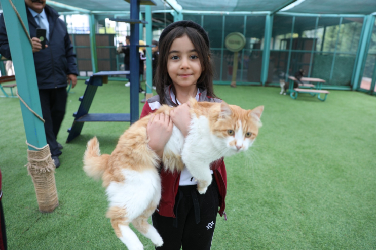 KAYSERİ’DE İLK OLAN ‘KÜÇÜK DOSTLAR KEDİ KASABASI’ ZİYARETÇİ AKININA UĞRUYOR