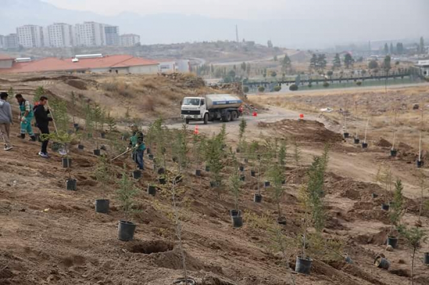 ÇOLAKBAYRAKDAR, “KOCASİNAN’DA HEDEF YÜZBİN FİDAN”